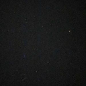 Meet your Posher, Ricky